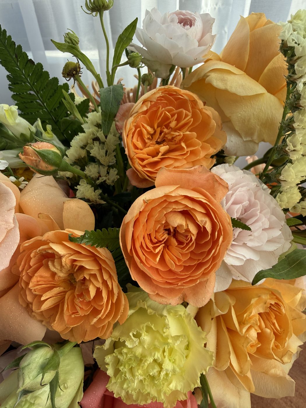 Close-up of peach garden roses